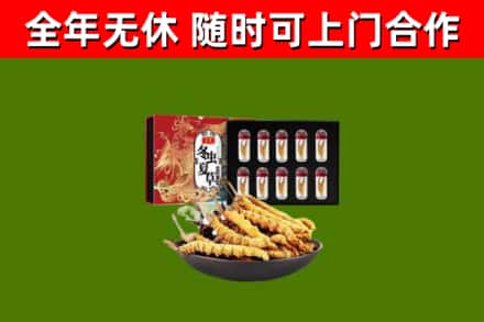 门头沟区回收冬虫夏草价格
